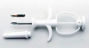 ����������� ����� �����